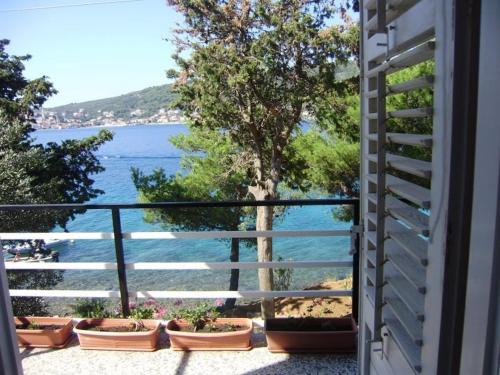 Φωτογραφία από το άλμπουμ του Ana & Marko-Island Ošljak σε Island Osljak