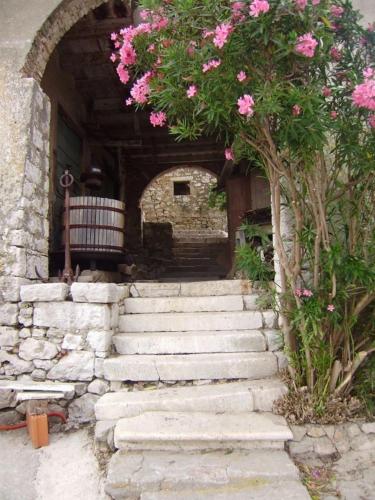 Φωτογραφία από το άλμπουμ του Ana & Marko-Island Ošljak σε Island Osljak