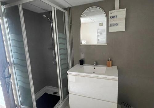 y baño con ducha, lavabo y espejo. en Appartement avec petit jardin en Bagnères-de-Bigorre