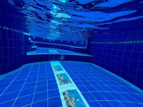 uma piscina com luzes azuis na água em Penthouse San Rafael em San Rafael