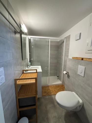 une salle de bain avec toilettes, lavabo et douche dans l'établissement La Villa Sylody restaurant, 3 piscines et location de vélo sur place, à Lecci