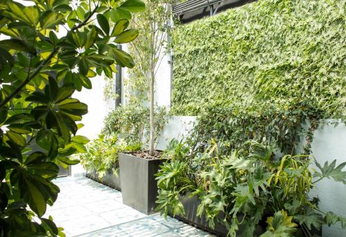 a greenhouse with plants and a ivy covered wall at Casa Decu in Mexico City