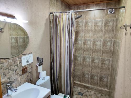 a bathroom with a shower and a sink at Evergreen Guesthouse in Karakol