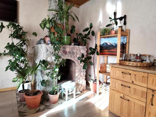 a living room filled with lots of plants and a fireplace at Evergreen Guesthouse in Karakol