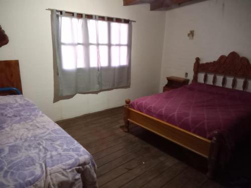 a bedroom with a purple bed and a window at Cometin in Malargüe