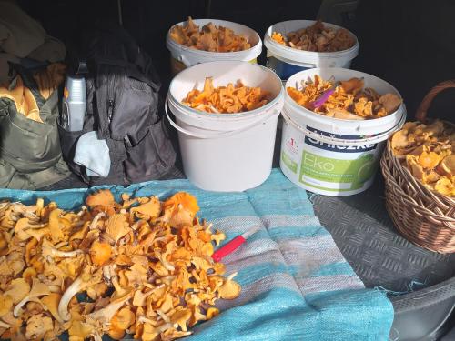a bunch of buckets of food on a table at Gospodarstwo agroturystyczne in Węgorzyno
