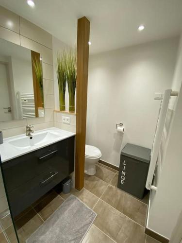 une salle de bain avec un lavabo, des toilettes et un miroir dans l'établissement Duplex tout confort, 2 min de Colmar, parking gratuit, à Horbourg-Wihr