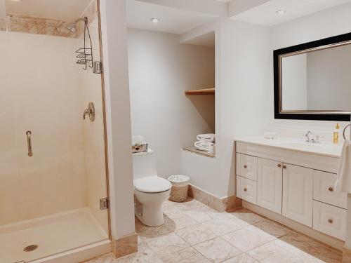 a bathroom with a toilet and a sink and a shower at Irish Mountain Suites in Meaford