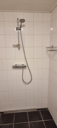 a shower in a bathroom with a hose on the wall at Vakantiehuis Zuiderveld in Geesbrug