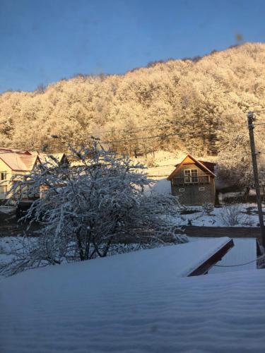 a house is covered in snow in front of a mountain at Біля комори in Pilipets