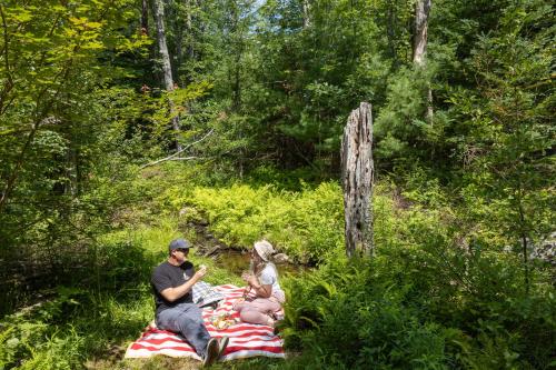 a man and a woman sitting on a picnic blanket at Seascape Motel & Cottages in Belfast