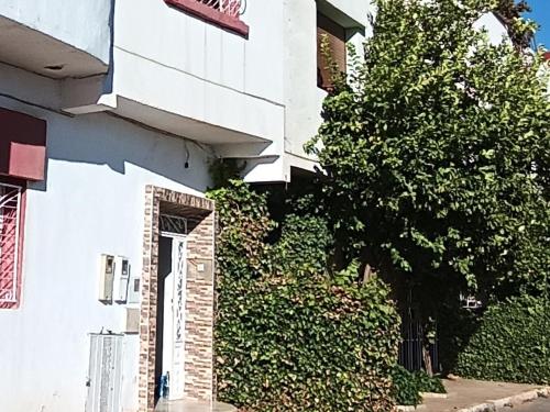 un edificio bianco con una porta accanto ad un albero di Appartement meublé à louer a Meknès