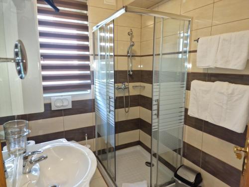 a bathroom with a glass shower and a sink at Pri štorklji in Moravske Toplice