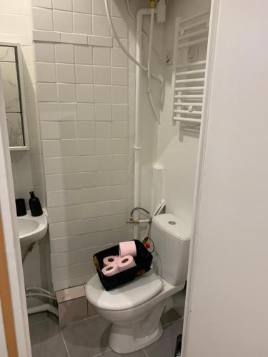 a bathroom with a toilet with a hello kitty pillow on it at Studio en plein cœur d’aubusson in Aubusson