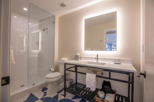 La salle de bains est pourvue de toilettes, d'un lavabo et d'une douche. dans l'établissement The Holbrook Hotel, à Danville