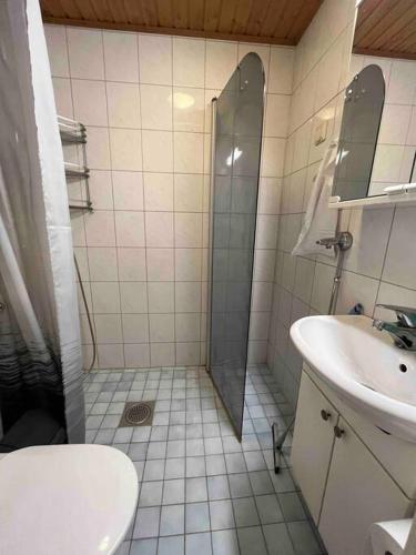 een badkamer met een douche en een wastafel bij Majoitusta 4:lle Pori in Pori