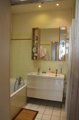 La salle de bains est pourvue d'une baignoire et d'un lavabo. dans l'établissement CLOVIS, à Reims