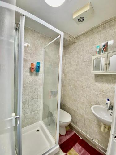 a bathroom with a shower and a toilet and a sink at Ground floor Studio Flat In London in London