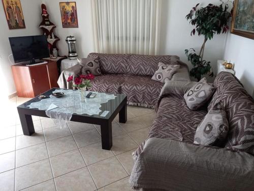 Trikki House