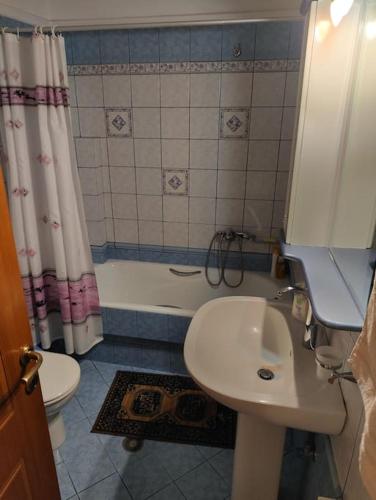 a bathroom with a sink and a toilet and a shower at Trikki House in Tríkala