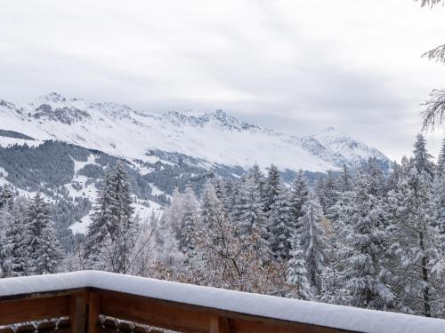 冬のAlpen Retreatの様子