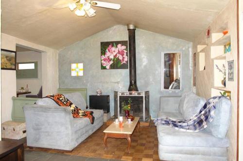 a living room with two couches and a fireplace at Hillmont paradise in Oakland