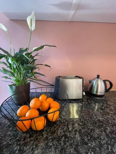 a basket of oranges on a counter with a toaster at Central Garden Room Tamboerskloof in Cape Town