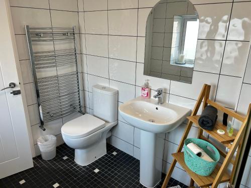 a bathroom with a toilet and a sink at The Dairy, Bramble Farm Cottages in Ferndown