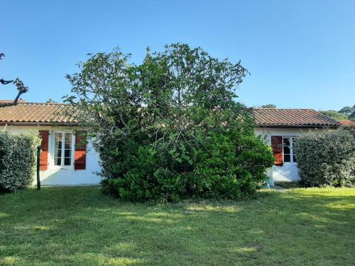 Maison Capbreton, 3 pièces, 4 personnes - FR-1-239-923