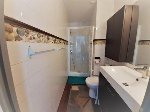 une salle de bain avec toilettes, lavabo et douche dans l'établissement Appartement cosy, 4 pers, proche plages et centre, BBQ, parking, Wifi inclus - FR-1-239-943, à Capbreton