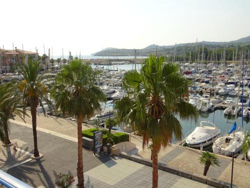 un port de plaisance avec un tas de bateaux dans un port dans l'établissement T3 avec terrasse et parking à Argelès-sur-Mer - FR-1-732-20, à Argelès-sur-Mer