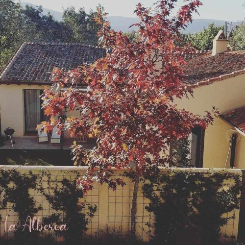 a tree with red leaves in front of a house at La Alberca Casa con jardín y piscina in Tenzuela
