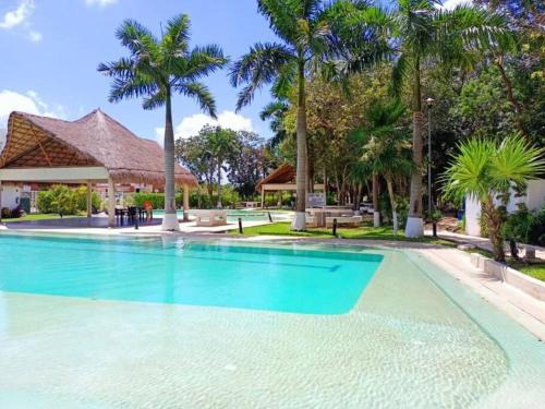 a swimming pool at a resort with palm trees at Departamento con amenidades in Cancún