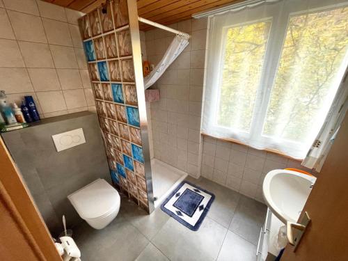 uma casa de banho com um WC, um lavatório e uma janela em Bellevue Apartment em Ringgenberg