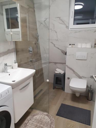 a bathroom with a shower and a toilet and a sink at Bjelasnica Loft Apartment in Bjelašnica
