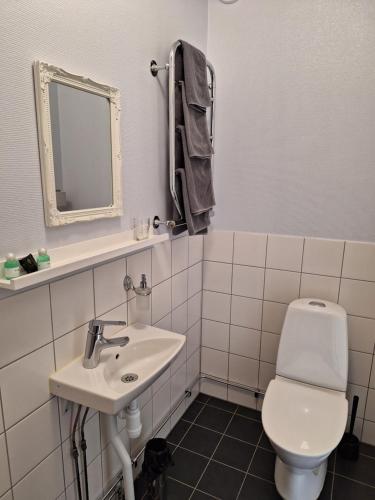 HästvedaにあるHotell Vita Hästen Hästvedaのバスルーム(洗面台、トイレ、鏡付)
