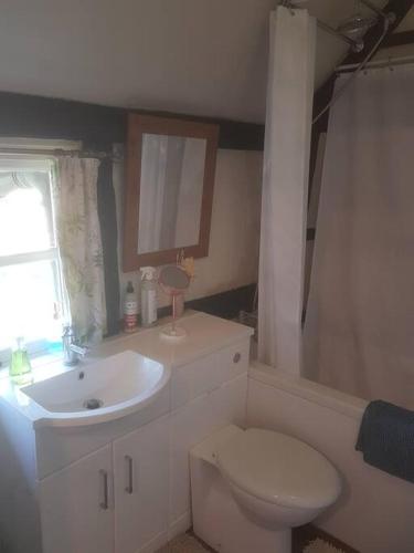 a bathroom with a toilet and a sink at Delightful 3bed thatched Cottage in Stockbridge