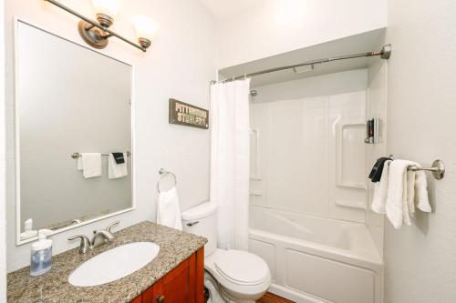 La salle de bains est pourvue d'un lavabo, de toilettes et d'une douche. dans l'établissement Pittsburgh's Sports Suite- FREE driveway Parking, à Pittsburgh