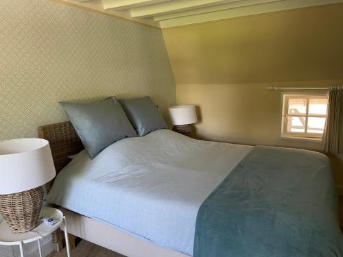 a bedroom with a bed with blue pillows and a window at Vakantiewoning Hof7tien90 in Nuth