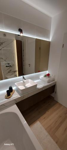 La salle de bains est pourvue d'un lavabo et d'un miroir. dans l'établissement Lau Qualis Apartment Zona Coresi Mall, à Braşov