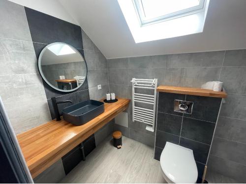 bagno con lavandino, specchio e servizi igienici di Appartement Amiens-Camon a Camon
