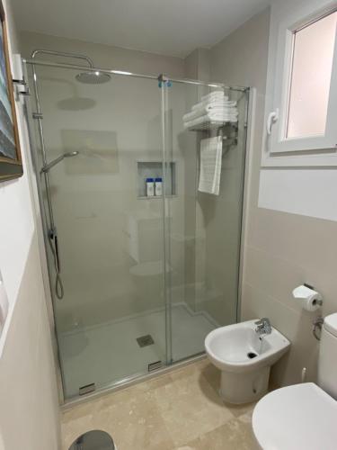 La salle de bains est pourvue d'une douche en verre et de toilettes. dans l'établissement APARTAMENTO SAN JOSE, à Palma del Río
