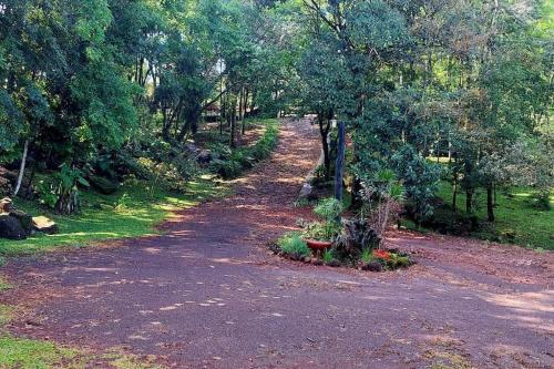 un camino de tierra con árboles y plantas. en Cabaña Guabiroba en Dos de Mayo