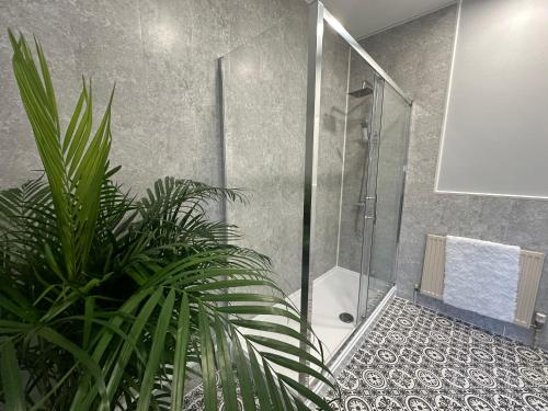 a bathroom with a shower and a plant at The Unicorn Inn in Newton Solney