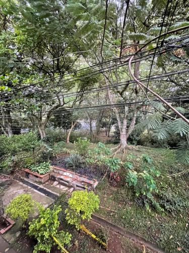 a garden with a picnic table and some plants at Apartamento excepcional con excelente ubicación in Bello