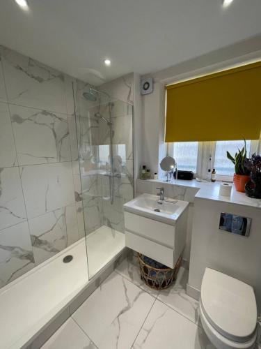 e bagno con doccia, servizi igienici e lavandino. di Contemporary 1BD Flat wBalcony - Stoke Newington! a Londra