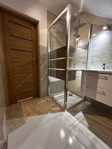 a bathroom with a shower and a toilet and a sink at Cabanówka in Bukowina Tatrzańska