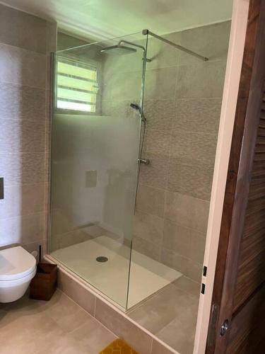 a glass shower in a bathroom with a toilet at Appartement Karuk'Idîle - Vue Mer Exceptionnelle, à 200m de la Plage in Gourbeyre