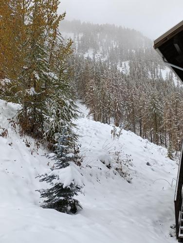 a snow covered hillside with trees in the background at les chalets de puy st vincent in Puy-Saint-Vincent