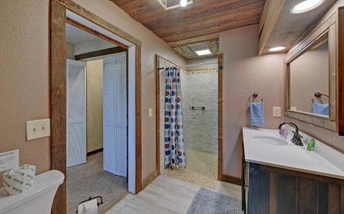 a bathroom with a tub and a sink and a shower at Birds Eye Cabin - Sunset & Starry Retreat Pet Friendly w Private HotTub, Fire Pit and Game Room in Ellijay